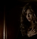 TVD_368.JPG