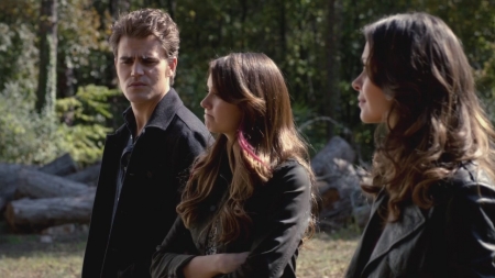 TVD_s5e11_01774.jpg