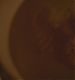 TVD_s5e11_00051.jpg