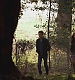 TVD_s5e11_01659.jpg