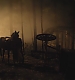 TVD_s5e11_01972.jpg