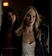 TVD_028.JPG