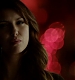 TVD_193.JPG