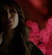 TVD_202.JPG
