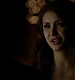 TVD_211.JPG
