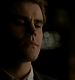 TVD_260.JPG