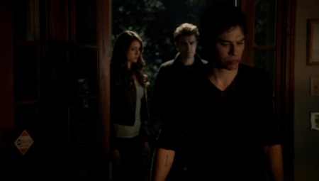 TVD_300.JPG