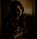 TVD_159.JPG