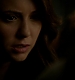 TVD_152.JPG