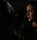 TVD_445.JPG