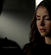 Filename=TVD_081.JPG
Filesize=34KiB
Dimensions=1280x728
Date added=Mar 05, 2017 TVD_081.JPG