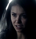 TVD_366.JPG