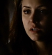 Filename=TVD_395.JPG
Filesize=31KiB
Dimensions=1280x728
Date added=Mar 05, 2017 TVD_395.JPG