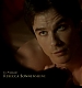 TVD_038.JPG