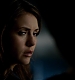 TVD_087.JPG