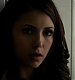 TVD_166.JPG