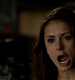 TVD_231.JPG