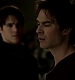 TVD_264.JPG