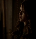 TVD_270.JPG