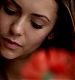 TVD_002.JPG