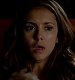 Filename=TVD_040.JPG
Filesize=37KiB
Dimensions=1280x728
Date added=Mar 05, 2017 TVD_040.JPG
