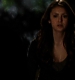 TVD_270.JPG