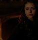 TVD_311.JPG