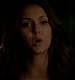 TVD_369.JPG