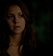 TVD_391.JPG
