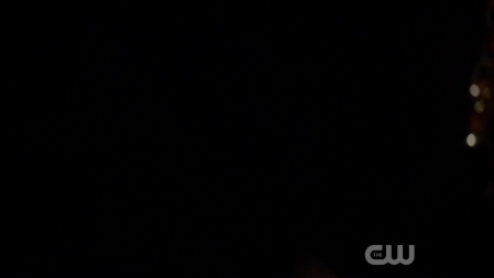 TVD_127.JPG