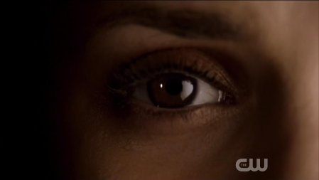 TVD_261.JPG
