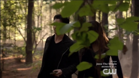 TVD_040.JPG
