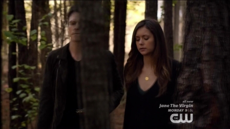 TVD_048.JPG