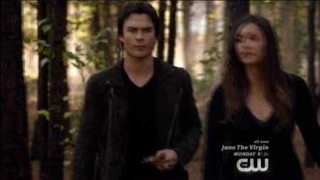 TVD_049.JPG