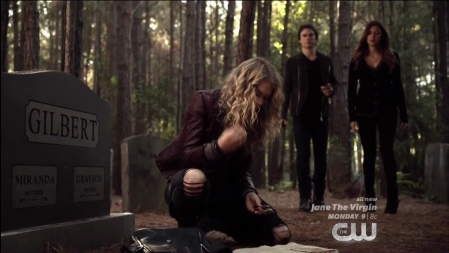 TVD_054.JPG
