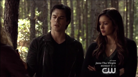 TVD_056.JPG