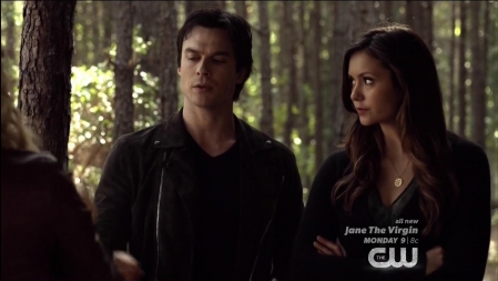 TVD_057.JPG