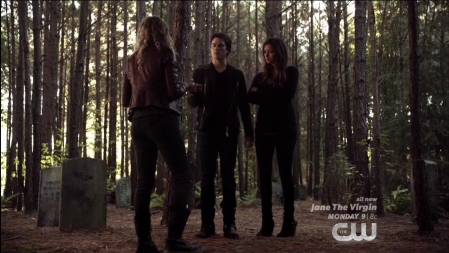 TVD_058.JPG