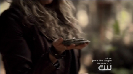 TVD_061.JPG