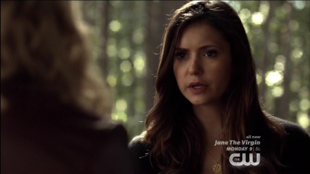 TVD_065.JPG