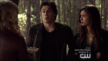 TVD_067.JPG
