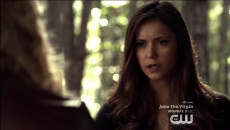 TVD_072.JPG