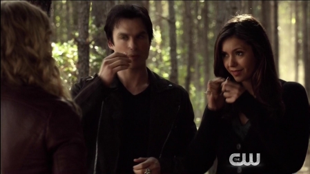 TVD_078.JPG