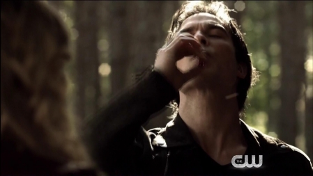 TVD_079.JPG