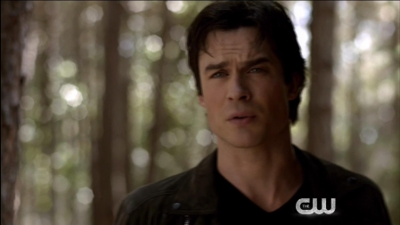 TVD_100.JPG