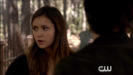 TVD_102.JPG