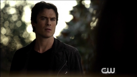 TVD_321.JPG