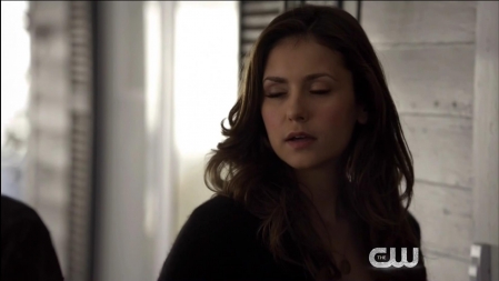 TVD_400.JPG