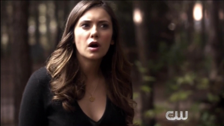TVD_421.JPG
