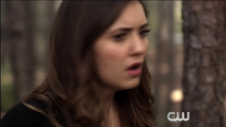 TVD_423.JPG